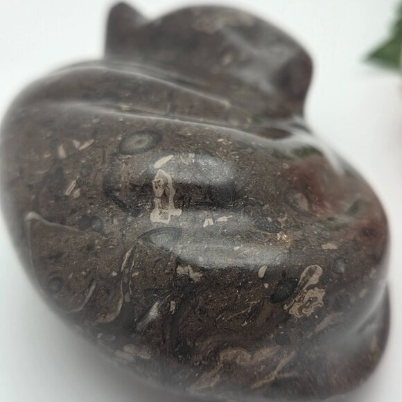 Black Sleeping Cat Kitty Natural Carved Fossil Stone Pakistan - Picture 8 of 12
